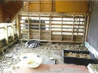 (値下げ) 島根県出雲市 西出雲駅15分 戸建て 258万円の競売物件 #33