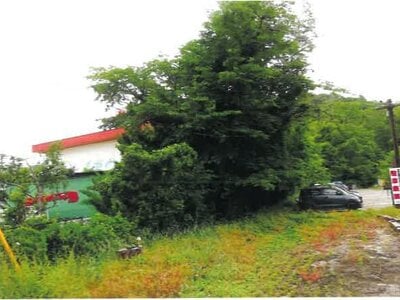 埼玉県秩父郡長瀞町 長瀞駅4分 戸建て 237万円の競売物件 #27
