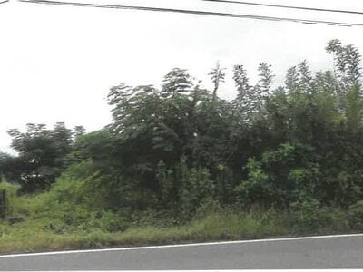 (値下げ) 埼玉県児玉郡神川町 丹荘駅22分 農地 78万円の競売物件 #1