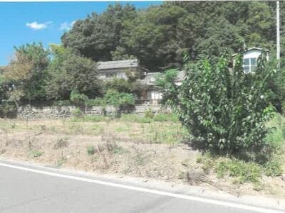 (値下げ) 埼玉県本庄市 児玉駅6分 農地 39万円の競売物件 #1