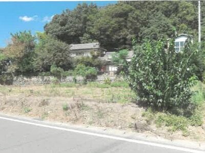 (値下げ) 埼玉県本庄市 児玉駅6分 農地 39万円の競売物件 #4