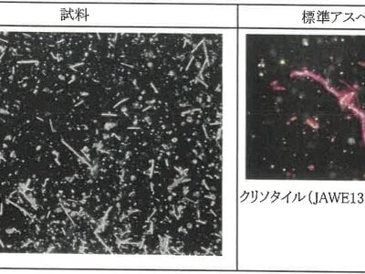 新潟県糸魚川市 筒石駅28分 戸建て 590万円の競売物件 #19