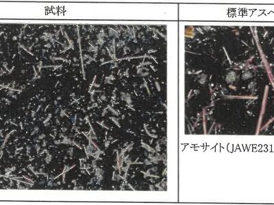新潟県糸魚川市 筒石駅28分 戸建て 590万円の競売物件 #20
