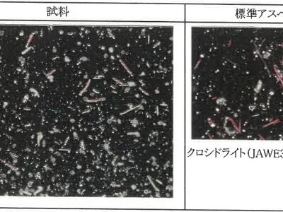 新潟県糸魚川市 筒石駅28分 戸建て 590万円の競売物件 #21