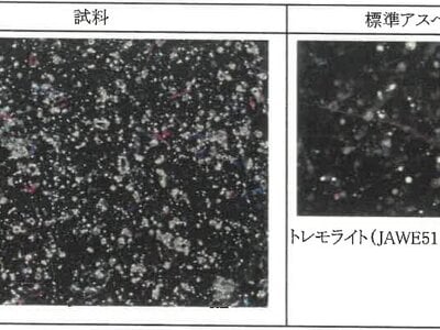 新潟県糸魚川市 筒石駅28分 戸建て 590万円の競売物件 #22