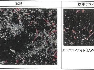 新潟県糸魚川市 筒石駅28分 戸建て 590万円の競売物件 #24