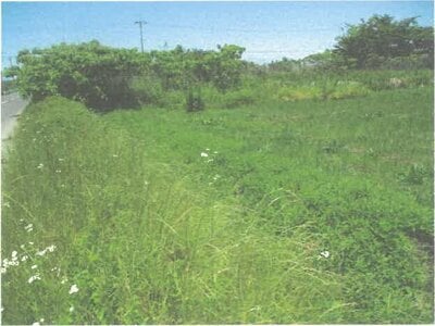 滋賀県守山市 野洲駅 農地 54万円の競売物件 #2