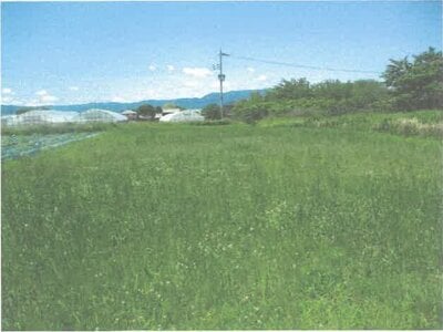滋賀県守山市 野洲駅 農地 54万円の競売物件 #3