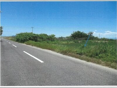 滋賀県守山市 野洲駅 農地 54万円の競売物件 #5