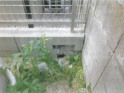 福岡県福岡市早良区 賀茂駅17分 戸建て 2,024万円の競売物件 #5