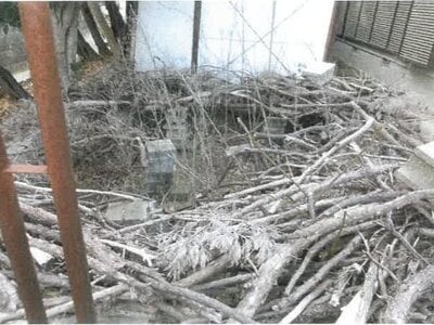 福岡県福岡市城南区 茶山駅8分 戸建て 3,155万円の競売物件 #8