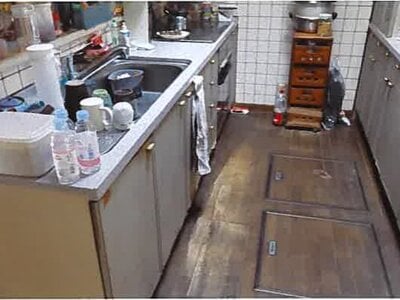 (値下げ) 埼玉県入間郡毛呂山町 毛呂駅3分 戸建て 1,290万円の競売物件 #4
