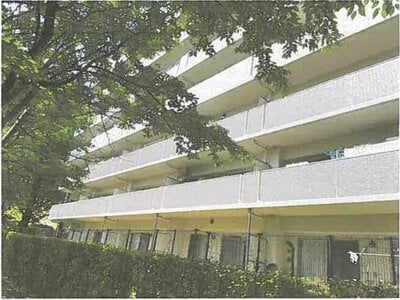 埼玉県飯能市 飯能駅12分 マンション「レーベンリヴァーレ美杉台グローブヒルズ」1,155万円の競売物件 #2