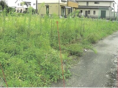 (値下げ) 岐阜県揖斐郡揖斐川町 揖斐駅22分 土地 176万円の競売物件 #2