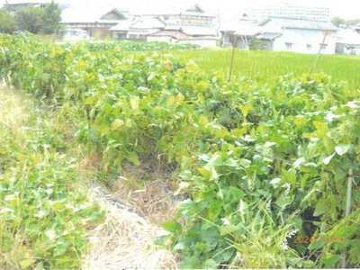 大阪府箕面市 箕面萱野駅9分 農地 6,966万円の競売物件 #16