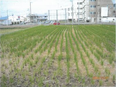 大阪府箕面市 箕面萱野駅9分 農地 6,966万円の競売物件 #17