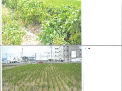 大阪府箕面市 箕面萱野駅9分 農地 6,966万円の競売物件 #6