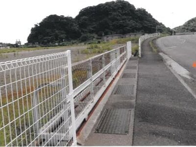 宮崎県日南市 油津駅12分 土地 1億5,992万円の競売物件 #10