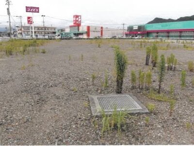 宮崎県日南市 油津駅12分 土地 1億5,992万円の競売物件 #22