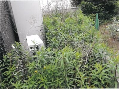 宮崎県宮崎市 佐土原駅20分 戸建て 968万円の競売物件 #12
