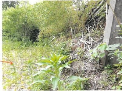 宮崎県小林市 小林駅28分 戸建て 290万円の競売物件 #25