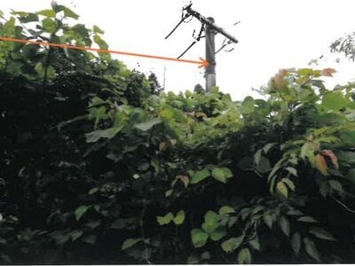 宮崎県小林市 小林駅28分 戸建て 290万円の競売物件 #28