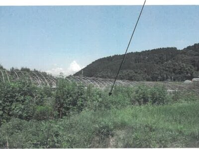(値下げ) 宮崎県宮崎市 農地 81万円の競売物件 #11