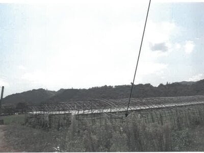 (値下げ) 宮崎県宮崎市 農地 81万円の競売物件 #13