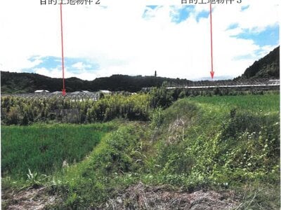 (値下げ) 宮崎県宮崎市 農地 81万円の競売物件 #8