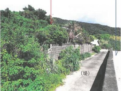 鹿児島県大島郡瀬戸内町 戸建て 345万円の競売物件 #33