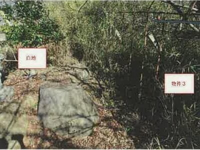 (値下げ) 山梨県甲州市 塩山駅23分 農地 27万円の競売物件 #10