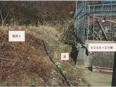 (値下げ) 山梨県甲州市 塩山駅23分 農地 27万円の競売物件 #4