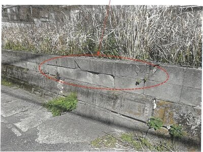 (値下げ) 鹿児島県鹿児島市 仙巌園駅19分 土地 79万円の競売物件 #5