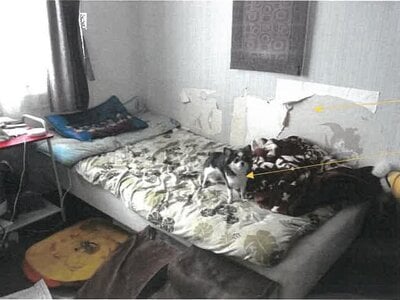 鹿児島県姶良市 帖佐駅16分 戸建て 929万円の競売物件 #9