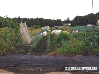 千葉県柏市 湖北駅 農地 19万円の国税庁公売物件 #1