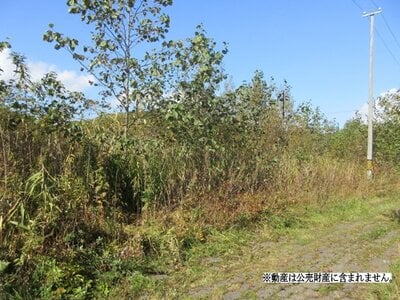 北海道白糠郡白糠町 庶路駅9分 土地 20万円の国税庁公売物件 #1