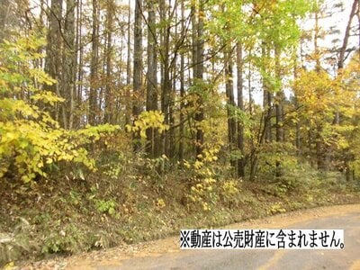 (値下げ) 長野県長野市 善光寺下駅 土地 28万円の国税庁公売物件 #1