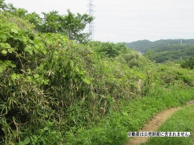 神奈川県中郡大磯町 大磯駅 土地 30万円の国税庁公売物件 #1