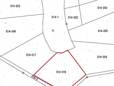 (値下げ) 長野県北佐久郡軽井沢町 中軽井沢駅27分 土地 32万円の国税庁公売物件 #2