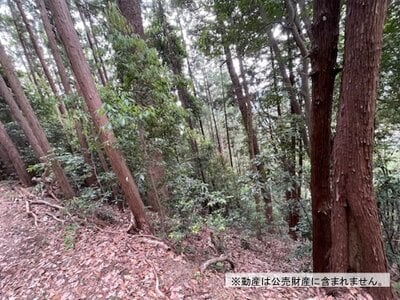 東京都青梅市 青梅駅11分 土地 40万円の国税庁公売物件 #1