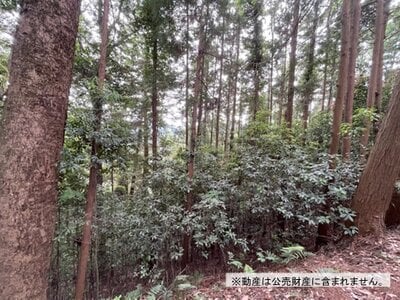 東京都青梅市 青梅駅11分 土地 40万円の国税庁公売物件 #2
