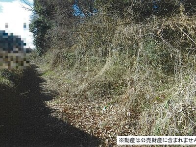 千葉県八千代市 八千代緑が丘駅22分 土地 49万円の国税庁公売物件 #1