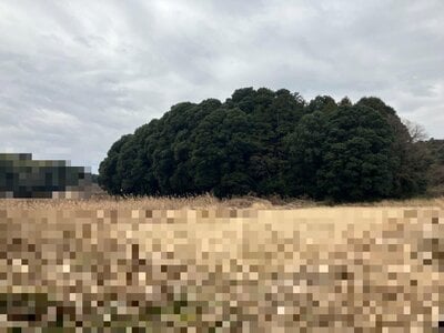 (値下げ) 千葉県柏市 湖北駅 土地 50万円の国税庁公売物件 #1