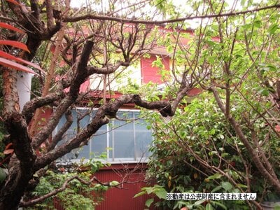 千葉県南房総市 富浦駅14分 戸建て 55万円の国税庁公売物件 #1