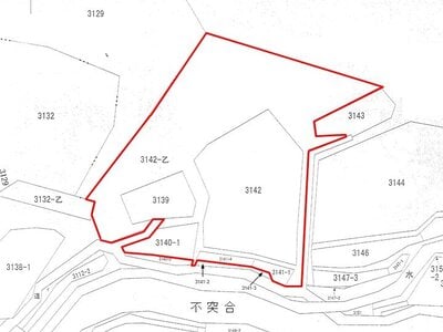 (値下げ) 神奈川県横須賀市 衣笠駅 農地 85万円の国税庁公売物件 #2