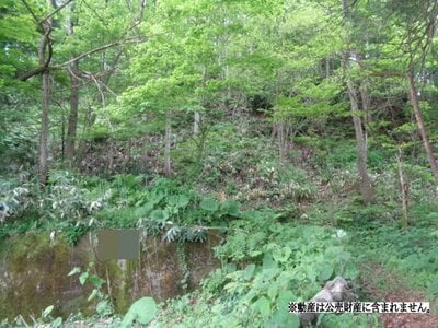 秋田県鹿角郡小坂町 十和田南駅 戸建て 180万円の国税庁公売物件 #2