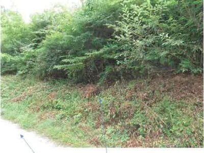 福島県田村市 農地 162万円の競売物件 #22