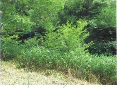 福島県田村市 農地 162万円の競売物件 #23