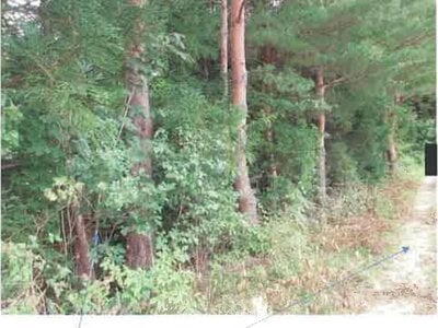 福島県田村市 農地 162万円の競売物件 #28