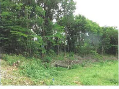 福島県田村市 農地 162万円の競売物件 #29